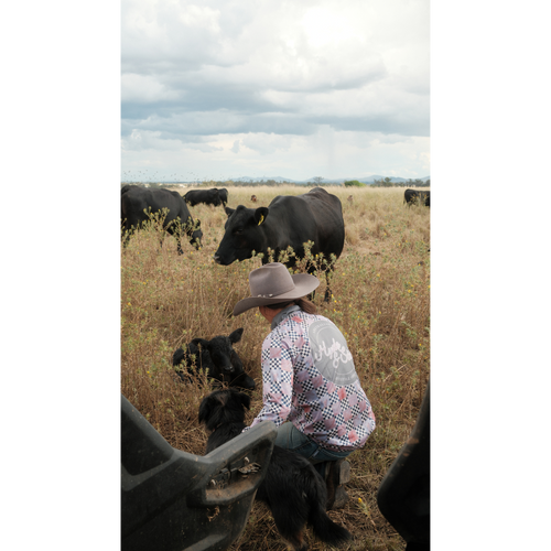 H&S Say Howdy Stay Rowdy Jersey