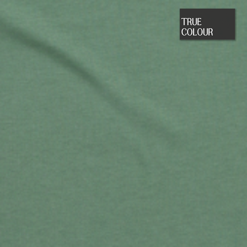 The Catie Signature Tee - Sage